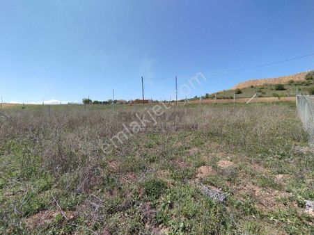 Güvenay - Çorum Kavacık Köyü Civarı Satılık Hobi Bahçeleri