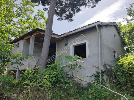 1.700 M2 Müstakil Köy Evi Arsa Meyve Bahçeli Bağ-bahçe Dereköyde