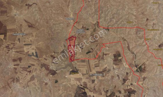 Babacandan Eyyübiye'de Satılık 65 Dönüm Tarla