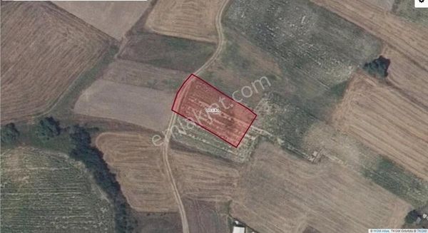 Yola Cephe Tek Tapu Değirmenköy Merkeze Çok Yakın Kelepir Tarla