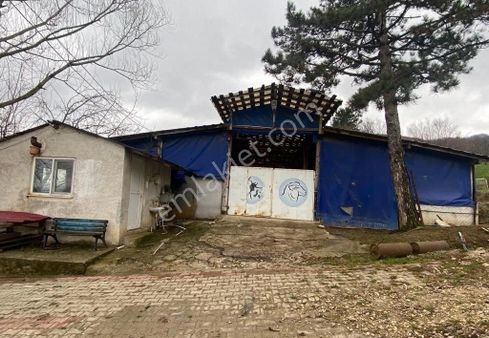 Arslan Emlak'tan İnegöl Hasanpaşa Da Satılık Çiftlik