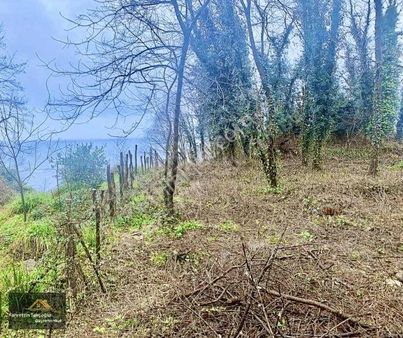 Satılık Denize Sıfır Mevcut Oto Yola Sıfır Arsa