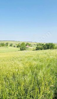 Yol Ve Elektrik Başında Fırsat Arsa