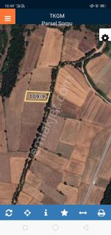 Bilecek Merkez Koyun Köyünde Satılık Tarla