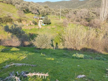 İzmir Bayındır Pınarlıda Satılık Arsa