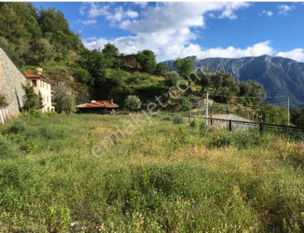 Alanya Üzümlüde Satılık Bahçe