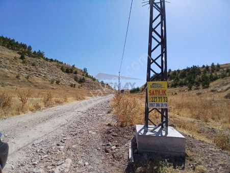 Güvenay Çorum Sarmaşa Köyü Yakınında Satılık Bahçe