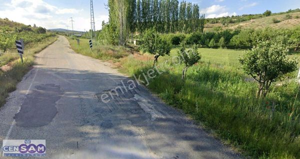 Konya Bozkır'da 3.186 M2 Yerleşim İçinde Dümdüz Fırsat Bahçe !