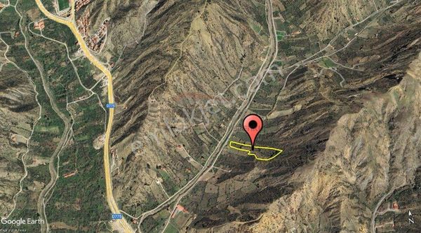 Çorum İskilip Hacıpiri Mevkii Satılık 13 Dönüm Bağ