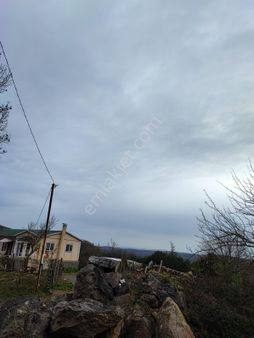 Şile De Satılık Arsa