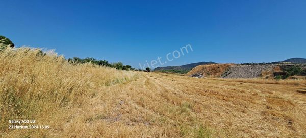 Dikili De Jeotermal Satılık Tarla