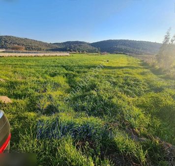 Bodrum Tepecik Te 10.630m2