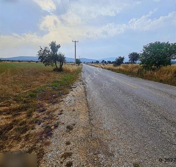 Milas Kuzyaka Da 21.400m2 Asfalt Cepheli Elektrik Su Hazır