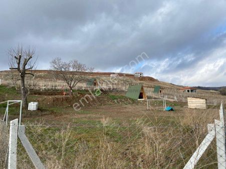 Güvenay - Çorum Sarmaşa Köyü Karşısında 500 M² Satılık Bahçe