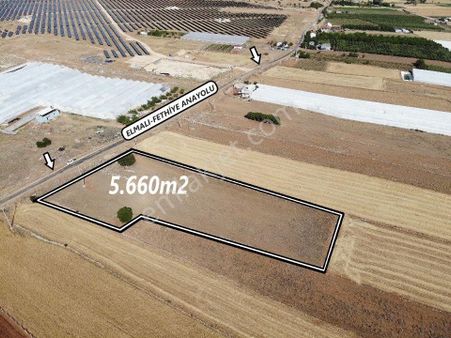 Antalya Elmalı Kışla Mah'de Fethiye Anayoluna Cephe Ticaret Yapımına Uygun 5.660m2 Satılık Tarla