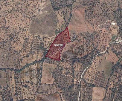 Torbalı Emlak'tan Karakızlar Köyünde 11.555m2 Zeytinliğimiz Satılıktır
