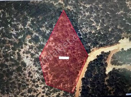 Astor Premium'dan Kaş Sarıbelende Satılık Tarla