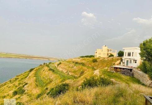 Satılık Yarımada ( Arazi ) Şanlıurfa Hilvan Bahçecik Fırat Nehrine Sıfır