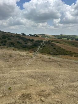 Lotus Dan Gökkuyu Da Cazip Küçük Hisseler