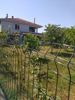 Samsun Çarşanba Kuşhane Mah 2 Katli Çiflık Evi Ve10 Dönum Findik Bahcesi Satılık Acıl