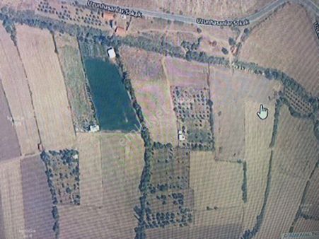 Çıtak'ta 8 Hisseli Satılık Tarla