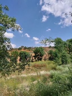 Tekirdağ Süleymanpaşa Gayrimenkul Den Satılık Tarla İğnecik Mah 77donum Hisseli Satılık