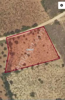 Adrees Gayrimenkul'den Yatirimlik Tarla