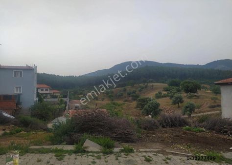 Seferihisar Orhanlı Köyünde İmarlı Köy İçi Arsa