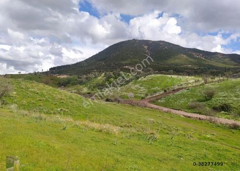 Seferihisar Orhanlı Köyünde Köy Manzaralı Tarla