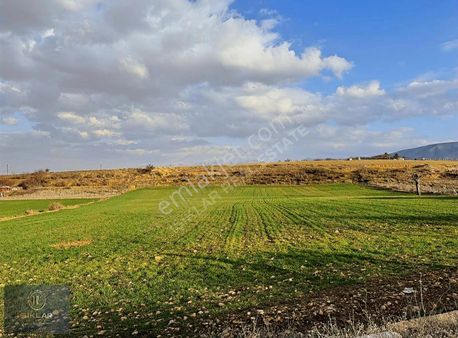 Enes Işık 'tan Kuyulu Da Çevre Yoluna Yakın Yatırımlık Arsa