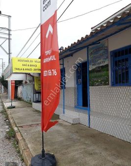 Seferihisar Orhanlı Tms Altı Mevkiinde 2150m2 Dümdüz Bahçe