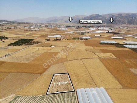 Antalya Elmalı Bozhüyük Mahalle Merkezine Yakın Mesafede 1.535m2 Satılık Üzüm Bağı