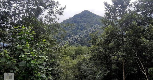 Fırtına Vadisinin Yanında Yolu Bulunan 4.108m²