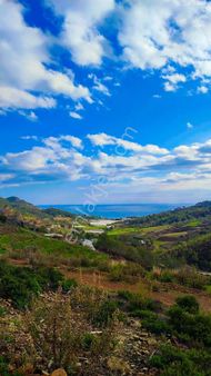 Anchor Gayrimenkul'den Demirören Mahallesin'de Satılık Tarla