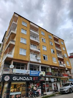 Amasya Suluova Pazar Mahallesi Satılık 3 Daire 6 İşyeri