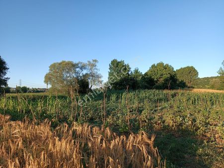 Adapazarı Kayrancık Köyünde Satılık 1271m² Tarla...erd'den