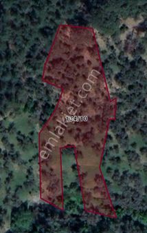 Doğa'dan İzmir Bayındır'da Yatırımlık Zeytinlik