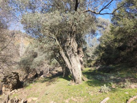 Doğa Gayrimenkul'den Yatırım Fırsatı