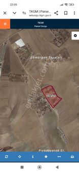 Ankara Ayaş Gökler De Satılık Hobi Bahçesi