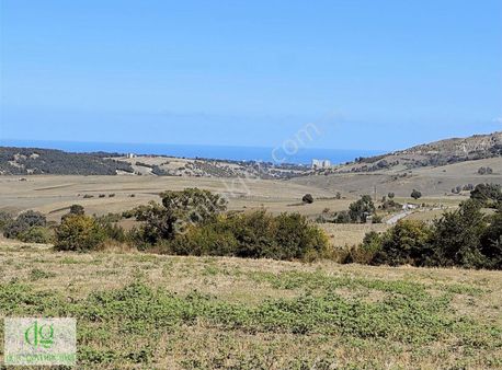 Sarayköyde İmarı Onaylanmış 7 Dönüm Satılık Tarla