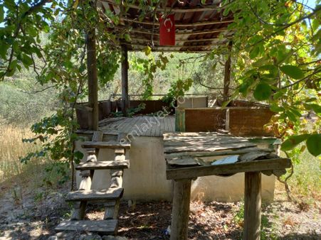 Manisa Avdal Da Satılık Yola Sıfır 5.300 M2 Zeytinlik 4.950.000 Tl