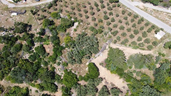 Satılık Müstakiltapu