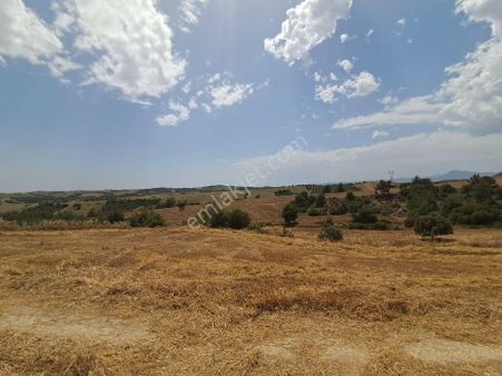 Elsa Gayrimenkul Den Satılık Tarla Yüksekören Mahallesinde