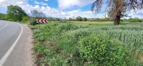 Tekirdağ Şarköy Gölcük Mahallesi Satılık Tarla