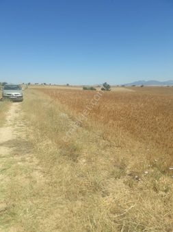 Konya Seydişehir Kavak Mahallesinde Satılık Tarla