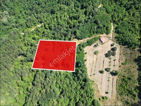 Remax Hür Murat Köksal’dan Sapanca Akçay’da Cazip Fırsat 6005 M2 Satılık Arazi