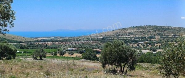 Alaçatı Ovacık Yolunda 7 Dönüm Deniz Manzaralı Tarla