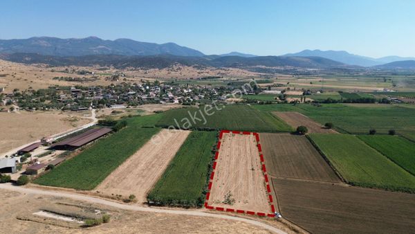 İzmir Tire Mahmutlar Mahallesinde Satılık Tarla