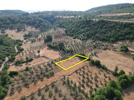 Yenibağyaka’da Köy Yerleşiminin İçinde 796 M2 Acil Satılık Tarla