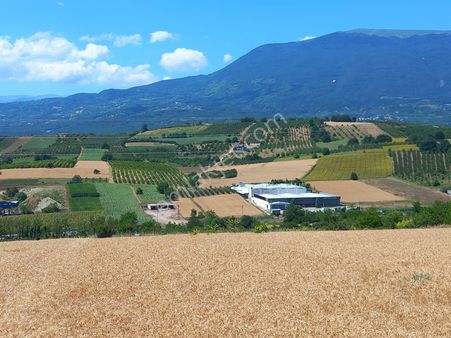 Roma' Dan Şehitler Köyünde Yolu Suyu Olan Tarla